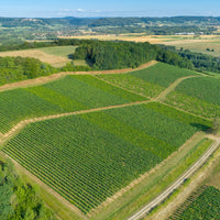 Temasmagning - Jura onsdag 19. august kl. 18.00-20.00