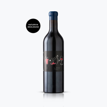 Adriano Grosso Barbera D'Asti DOCG 2024 Økologisk