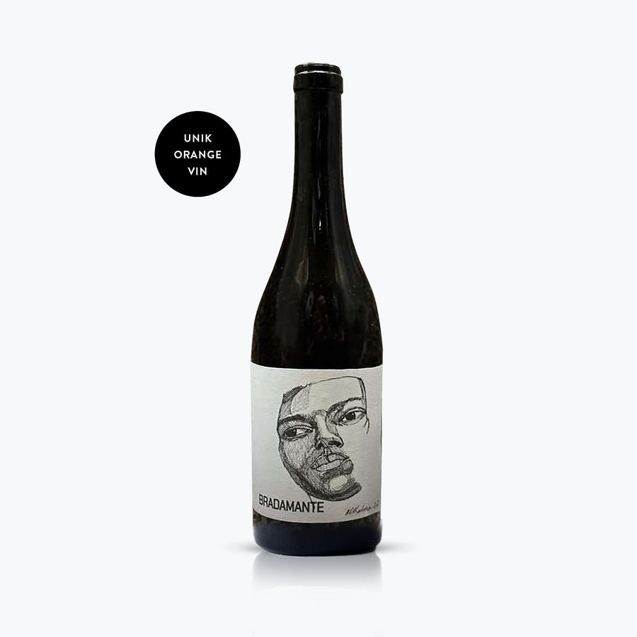 Cantina del Malandrino Bradamante Orangevin 2022