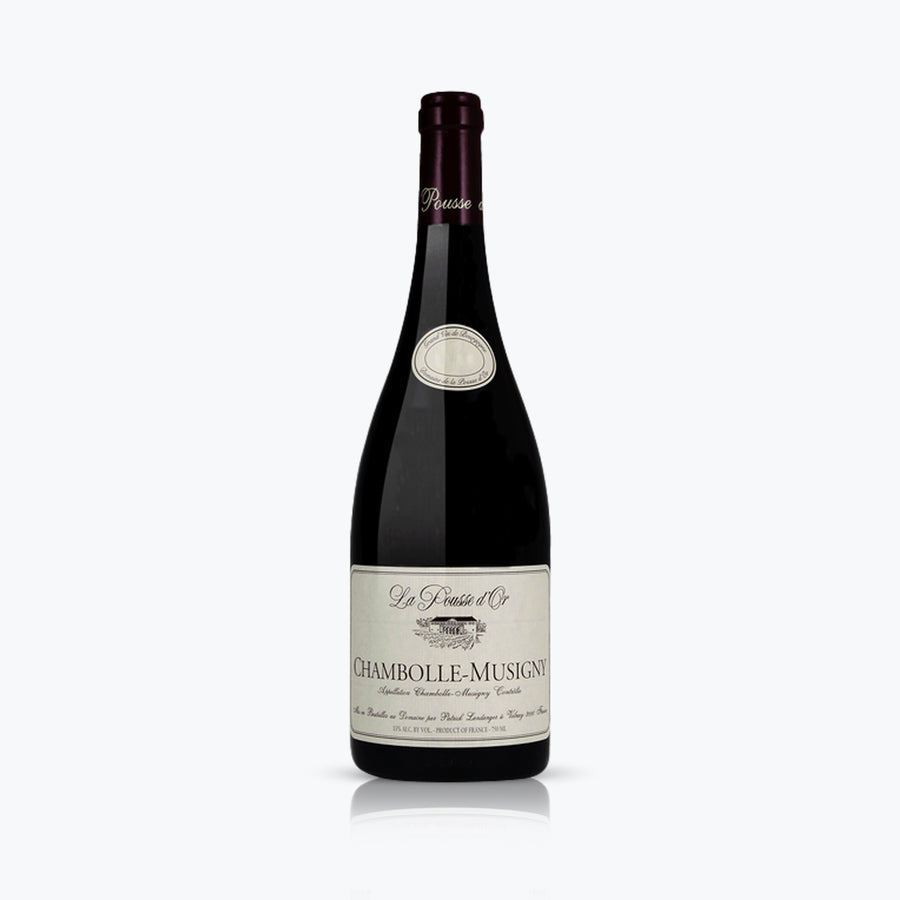 Bourgogne Chambolle-Musigny La Pousse d'Or 2022