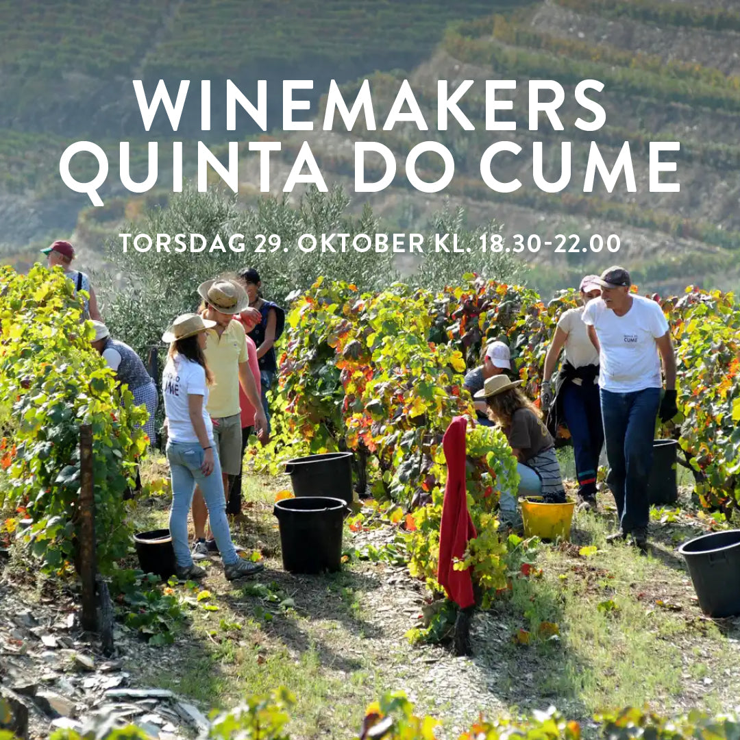 Winemaker’s Dinner: Quinta do Cume på Amagerbrogades nye vinbar Regama 10