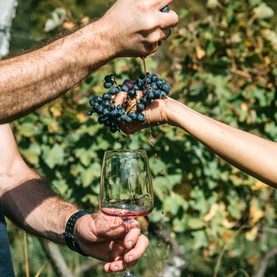 Georgisk Winemakers Dinner fredag 27. februar kl. 19.00-22.00