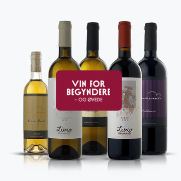 Kroatien Vin for Begyndere alle vinene fra Benvenuti vingården