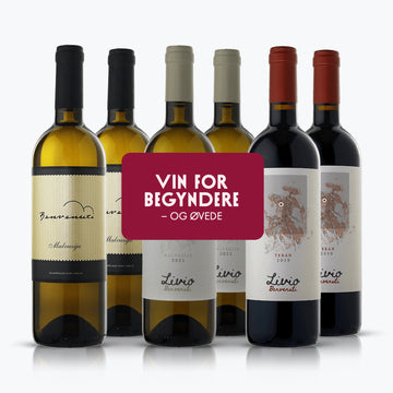 Kroatien Vin for Begyndere smagekasse stor